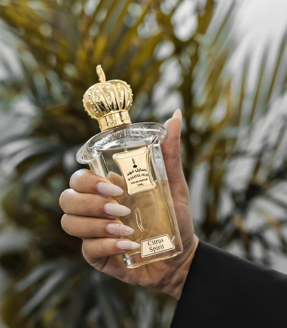 CITRUS SPIRIT von Rasayel Oud aus Dubai | Eau de Parfum firscher Unisex Duft