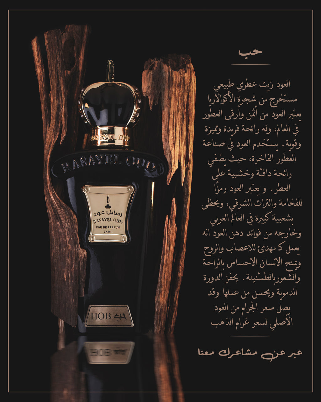 HOB von Rasayel Oud | Eau de Parfum | eleganter, orientalischer Duft
