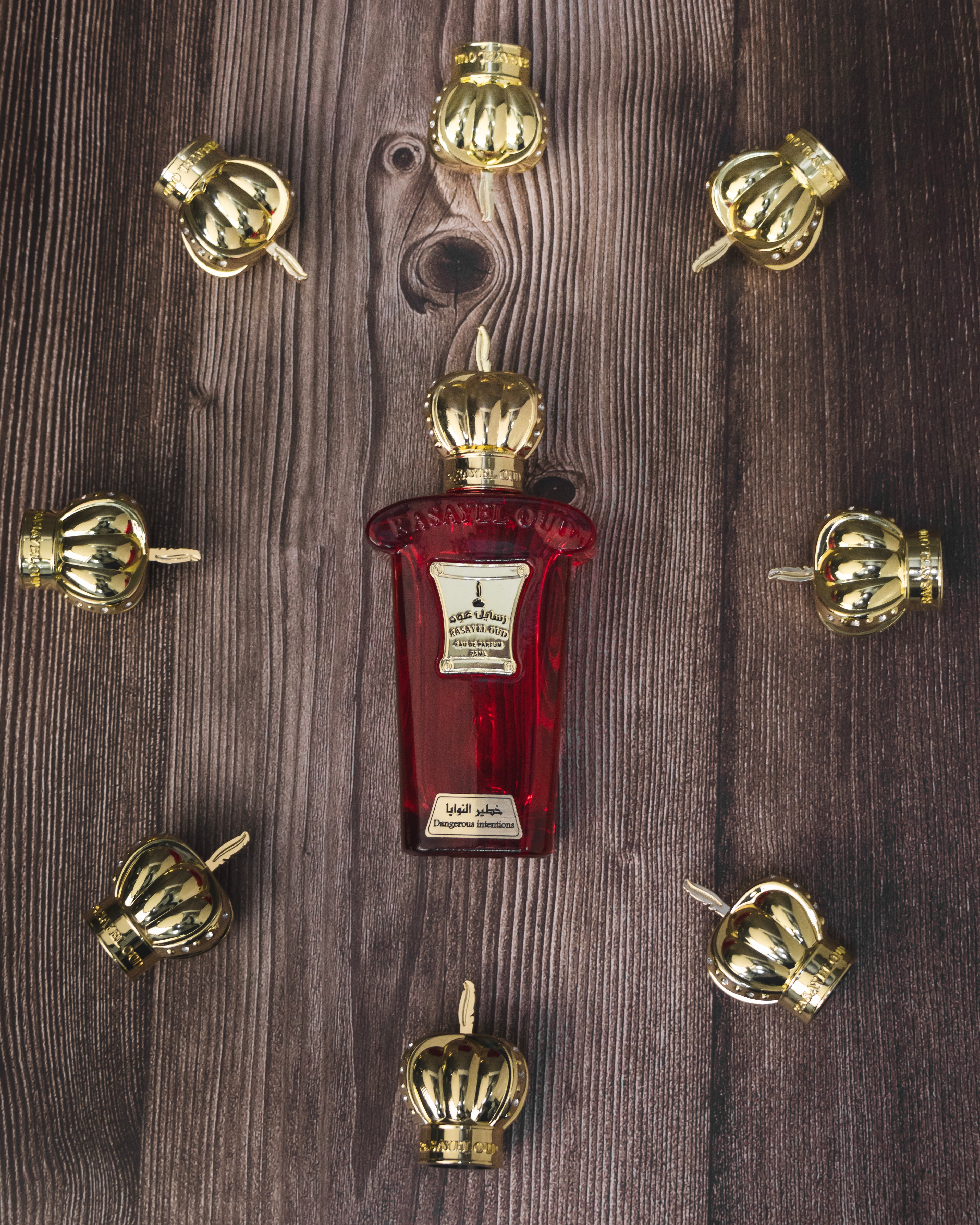 DANGEROUS INTENTION von Rasayel Oud | Eau de Parfum | verführerischer & eleganter Duft