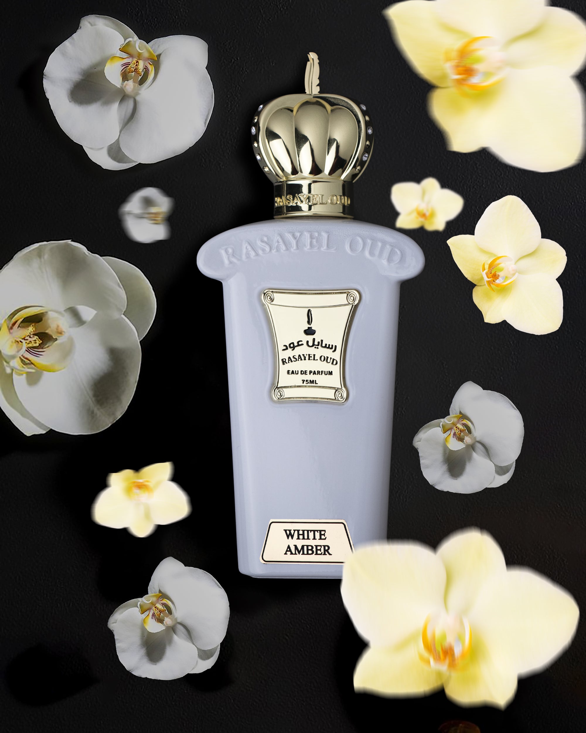 WHITE AMBER von Rasayel Oud | Eau de Parfum | ein erfrischender und zugleich sinnlicher Unisex Duft